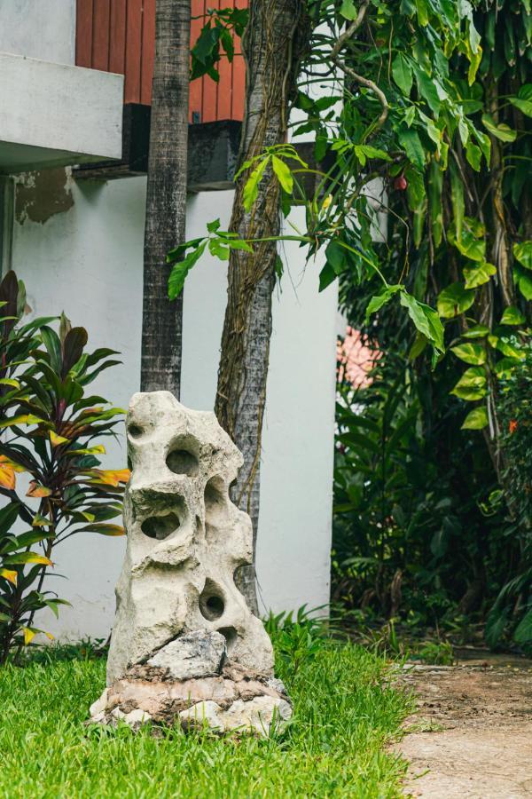 Hotel Cañada Internacional 3*